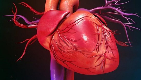 heart 2 22Scope News