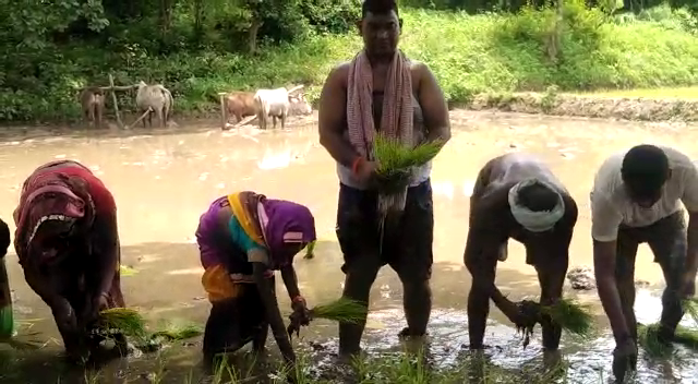मंत्री जी की खेती 2 22Scope News vlcsnap 2021 08 02 14h49m08s646 22Scope News