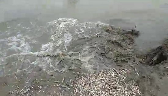 ganga 03 22Scope News