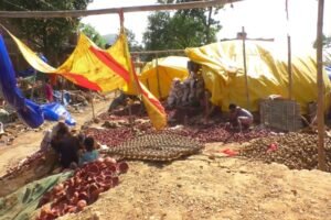 kumbharkar 02 22Scope News