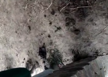 vlcsnap 2021 12 02 16h27m56s581 22Scope News