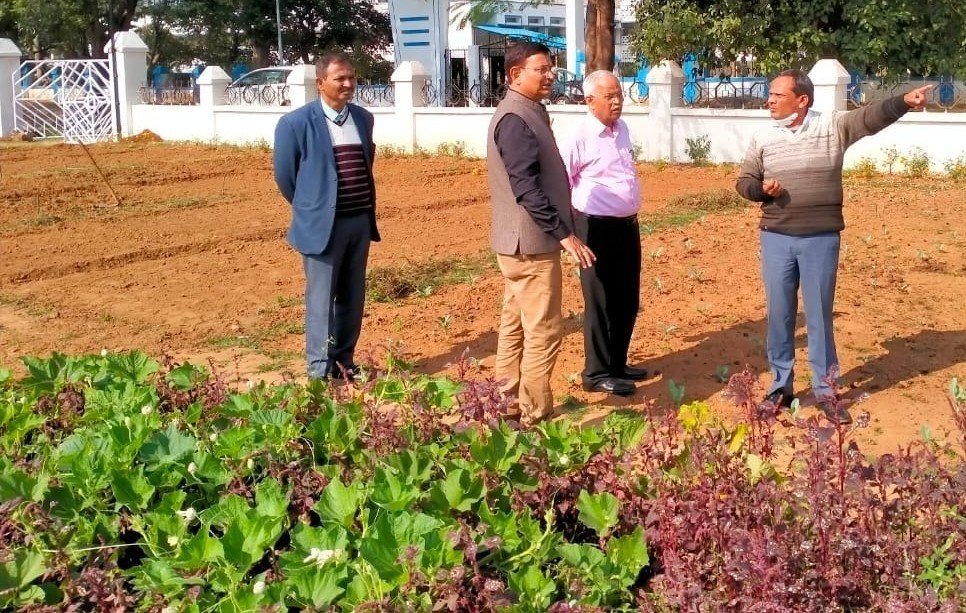 बिरसा कृषि विश्वविद्यालय की पहल, जैविक खेती का हब बनेगा झारखंड | 22Scope News 42c17bfd 715c 4420 9559 97beb99fa795 22Scope News