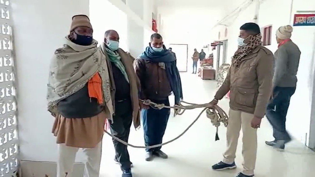 mini gun1 22Scope News