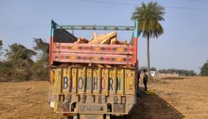 पलामू पुलिस ने एक ट्रक खैर की लकड़ी के साथ लकड़ी तस्कर को किया गिरफ्तार