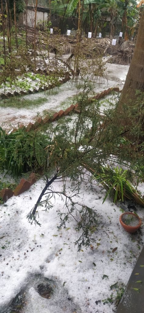 snow ranchi12 22Scope News