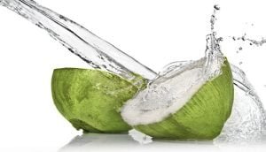 coconut water in hindi Bihar News Jharkhand News and Breaking Updates