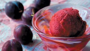 plum and amaretto sorbet sorbetto di susine con amaretto Bihar News Jharkhand News and Breaking Updates