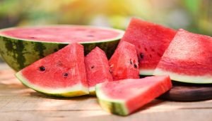 watermelon 1 Bihar News Jharkhand News and Breaking Updates
