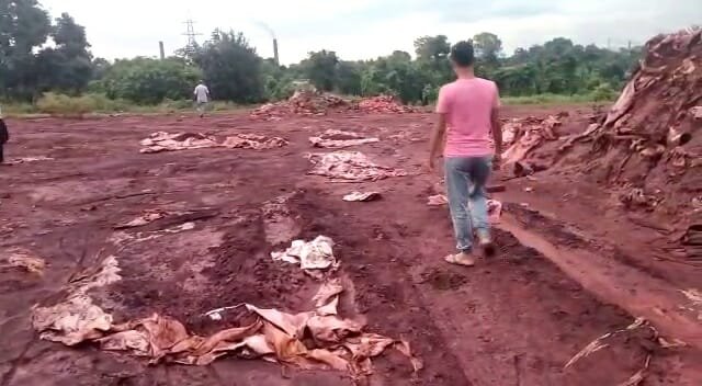 plant protest12 22Scope News