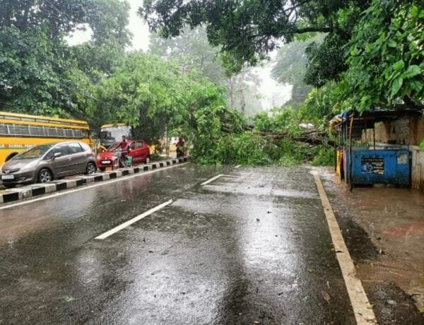 tree 22Scope News
