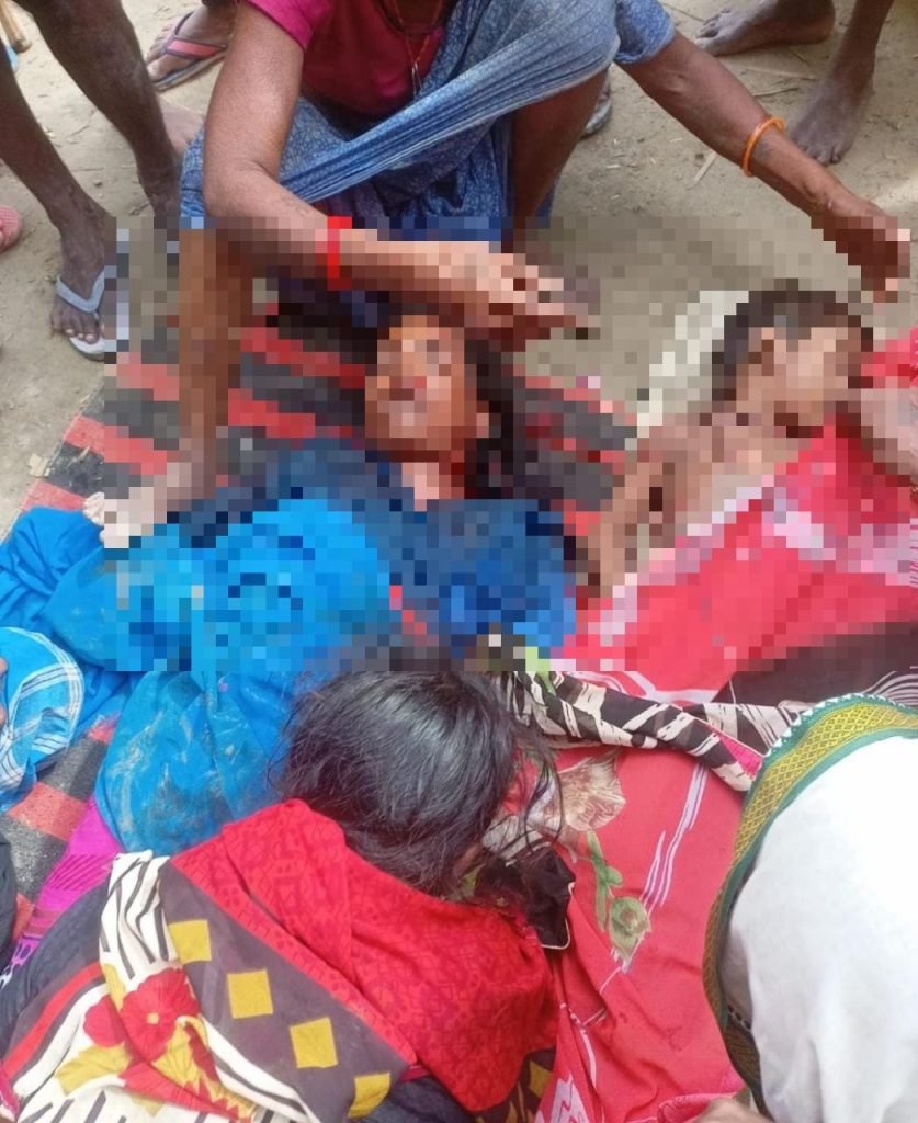 tiger mout 22Scope News