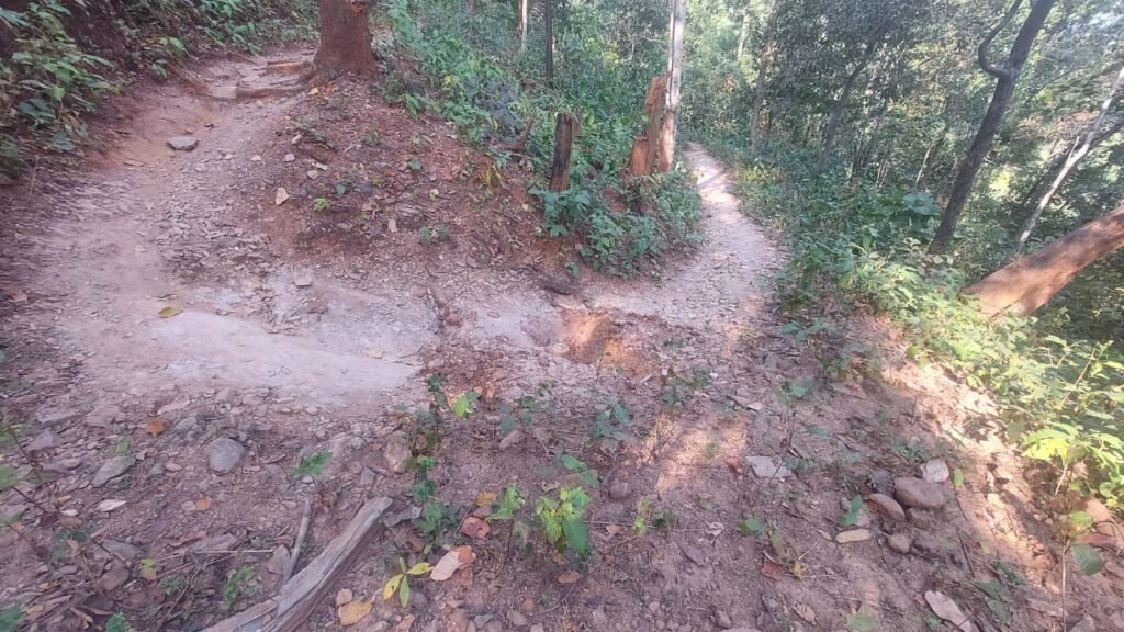 chaibasa 22Scope News