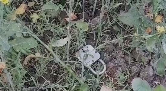 नालंदा में ज्वेलरी दुकान से 5 लाख के संपत्ति की चोरी नालंदा में ज्वेलरी दुकान से 5 लाख के संपत्ति की चोरी