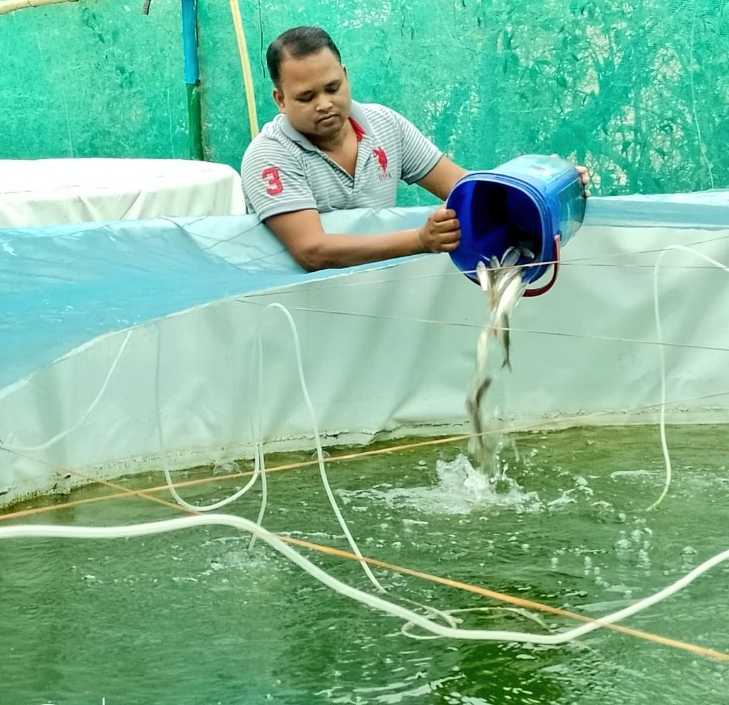 बायोफ्लॉक पद्धति से मछली उत्पादन 