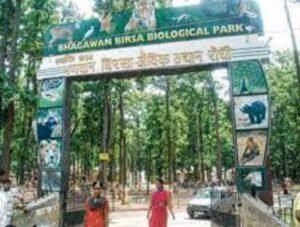 भगवान बिरसा जैविक उद्यान में एक नन्हा मेहमान आया