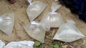 कब्रिस्तान बना शराब कारोबारियों का अड्डा