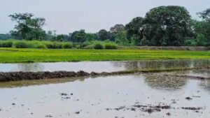 Motihari 2 22Scope News