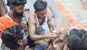 वीडियो सोशल मीडिया पर वायरल