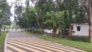 झील परिसर में जंगली सियार के हमले से कई लोग घायल, मॉर्निंग वॉक के दौरान किया हमला | 22Scope News झील परिसर में जंगली सियार