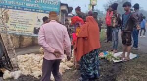 मुर्गा लदा पिकउप वैन सड़क किनारे पलटा