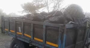 अवैध कोयला 22Scope News