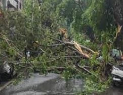 आंधी-पानी से गढ़वा-पलामू में भारी नुकसान, दो बच्चों की मौत