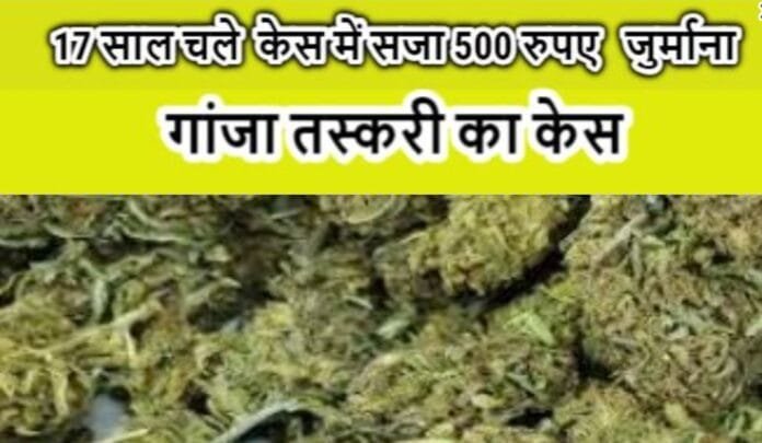 17 साल चले गांजा तस्करी के केस में सजा 500 रुपए अर्थदंड