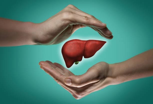 Liver Health Top 7 Top Tips