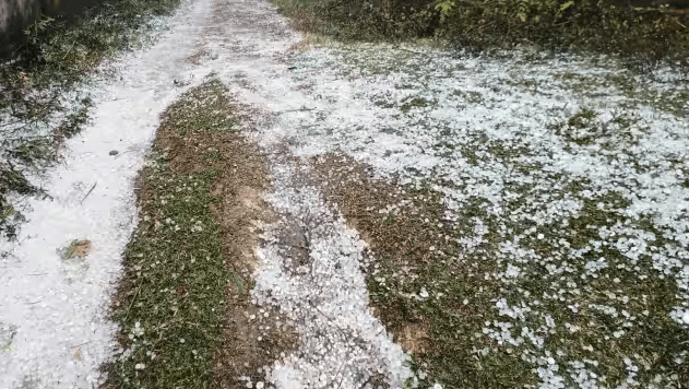 तेज बारिश और ओलावृष्टि ने मचाई तबाही....