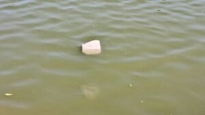 ये कैसा पत्थर जो तालाब में तैरता नजर आया, उठाया तो नजर आने लगे राम !