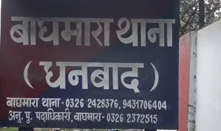 बाघमारा