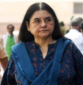 Maneka गांधी इसी क्रम में यहीं नहीं रुकतीं। वह विपक्ष को आड़े हाथ लेते हुए कहती हैं कि चुनाव के समय में भी विपक्ष में लोग आ-जा रहे हैं। यदि विपक्ष के पास मजबूत रणनीति नहीं है तो भाजपा ही आगे निकलेगी, इसमें कोई दो राय नहीं।