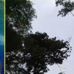 1 28 22Scope News