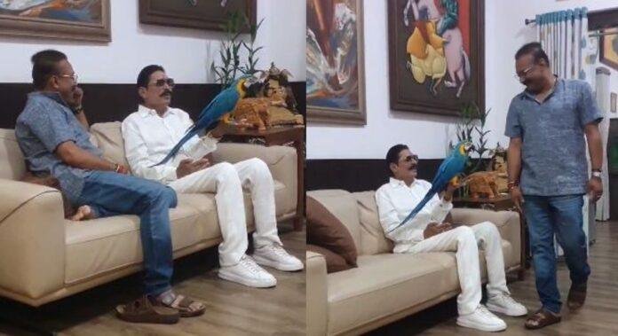 ANANT SINGH ANANT SINGH