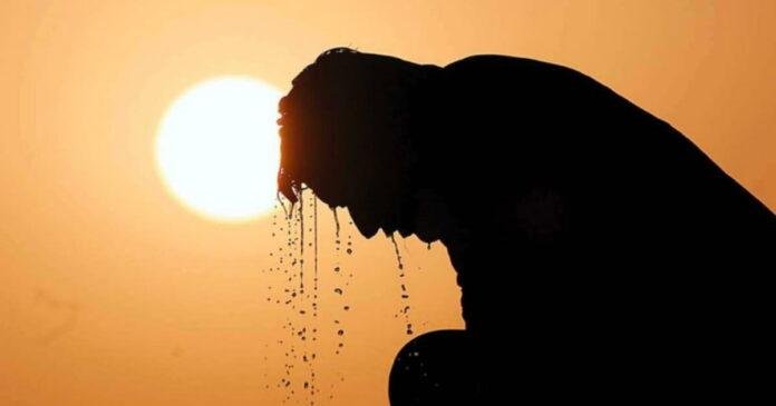HEATWAVE