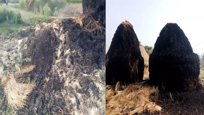 असामाजिक तत्वों ने नेवारी के पुंज में लगायी आग, लाखों का हुआ नुकसान