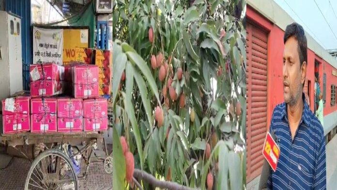 भारतीय रेल से शाही लीची की माल ढुलाई शुरू