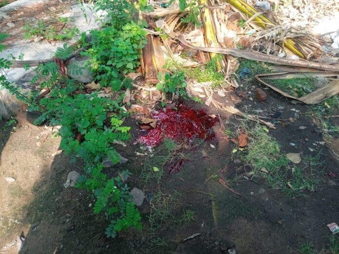 कदमा बाजार में भोलू को गोली मारने के बाद चापड़ से हत्या।