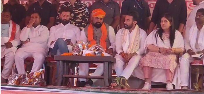 सोने का शेर