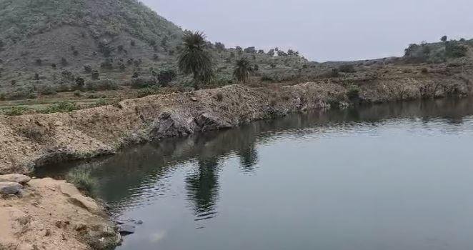 डुमरी