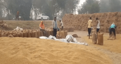 पैक्स पैक्स के सदस्य