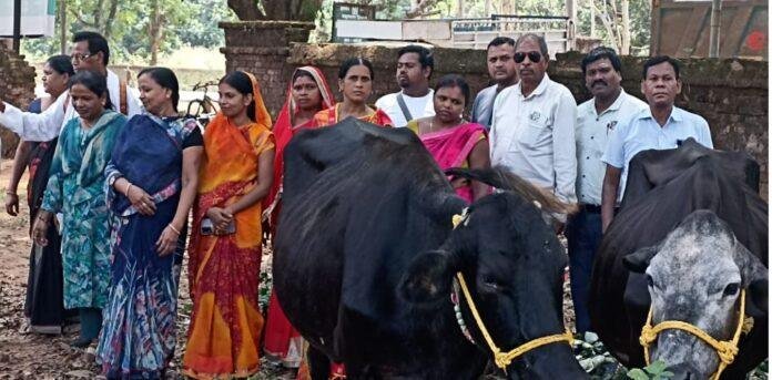 5 लाभुकों के बीच गाय का वितरण किया गया