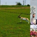 JJH1 22Scope News