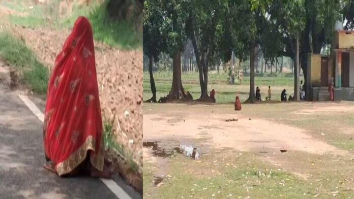 वट सावित्री पूजा करने गईं महिलाओं को मधुमक्खियों ने काटा, 30 से 40 हुई घायल