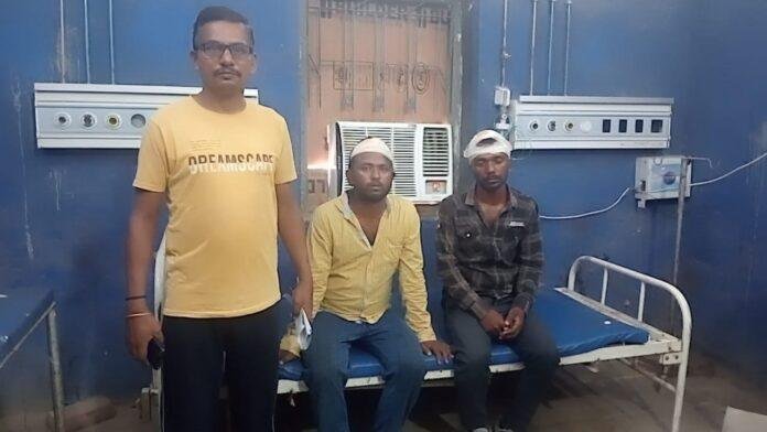 Animal हुए लोग