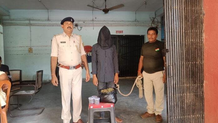 एक किलो गांजा के साथ युवक गिरफ्तार, बाइक जब्त