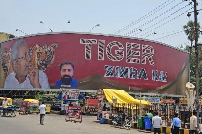 TIGER