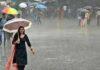 पूरे राज्य में सामान्य से काफी कम 186.1 मिमी वर्षा