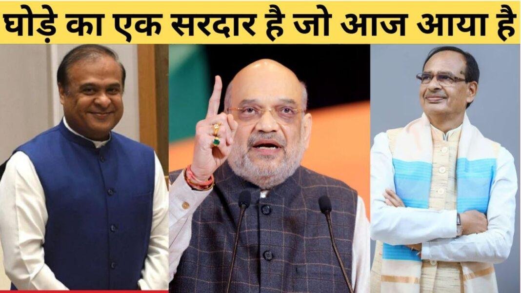 घोड़े का एक सरदार है जो आज आया है.....