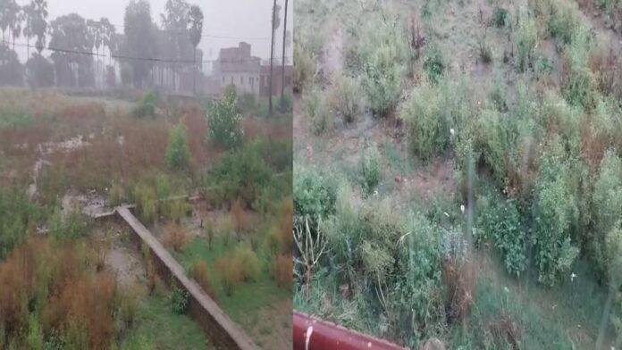 झमाझम बारिश से किसानों के खिले चेहरे, खेती की तैयारी में जुटे